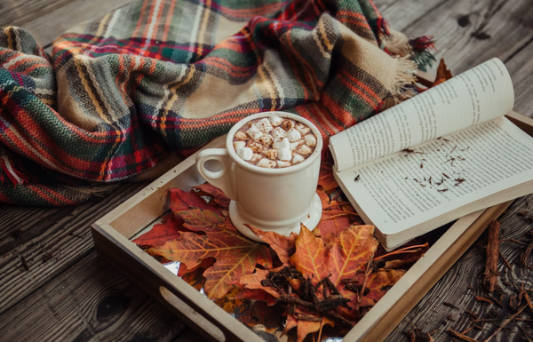 Autumn Snoozing Time in a Recliner Chair