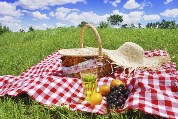 10 Fun summer activities for adults at home or outdoors