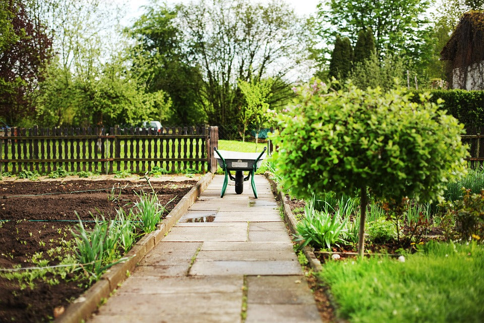  Getting your garden ready for warmer months 