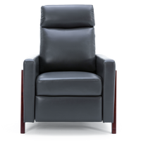 Riley Push Back Recliner Chair