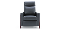 Riley Push Back Recliner Chair