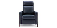 Riley Push Back Recliner Chair