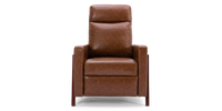 Riley Push Back Recliner Chair