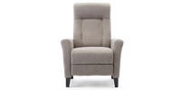 Eppleworth Push Back Recliner Chair