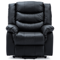 Seattle Dual Motor Rise Recliner